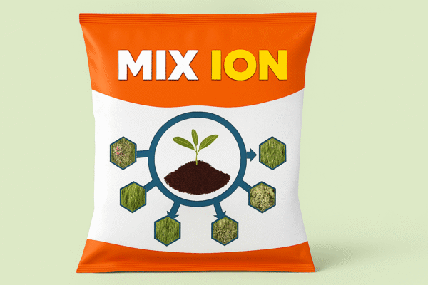 Mix ion (2)
