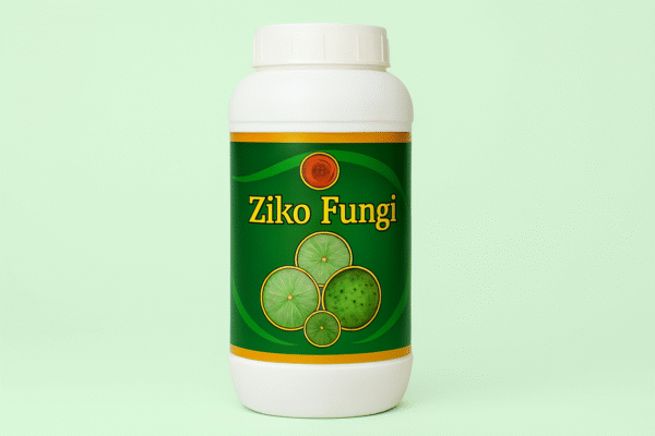 Ziko Fungi